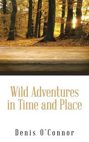 Cover image for Wild Adventures in Time and Place