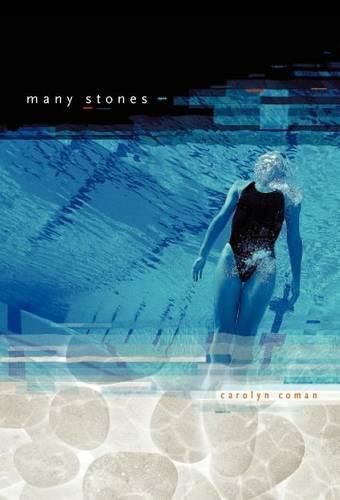 Cover image for Many Stones