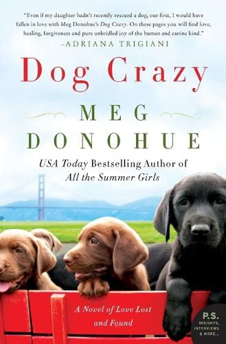 Cover image for Dog Crazy: A Novel of Love Lost and Found