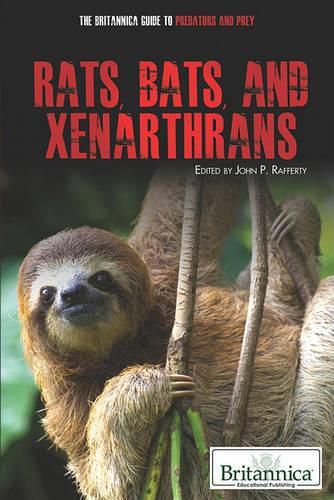 Cover image for Rats, Bats, and Xenarthrans