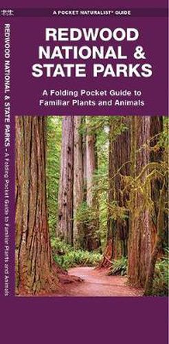 Cover image for Redwood National & State Parks: A Folding Pocket Guide to Familiar Plants and Animals