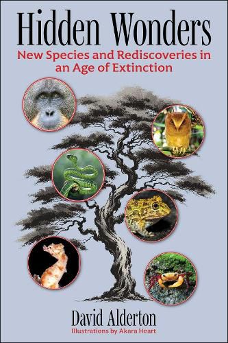 Cover image for Hidden Wonders