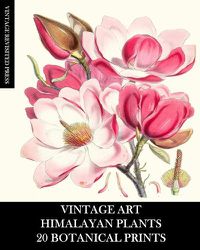 Cover image for Vintage Art: Himalayan Plants 20 Botanical Prints: Ephemera for Framing, Collage, Decoupage and Junk Journals