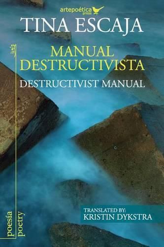 Cover image for Manual destructivista / Destructivist Manual