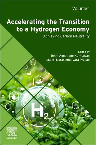 Cover image for Accelerating the Transition to a Hydrogen Economy