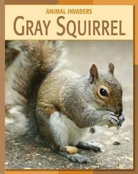Cover image for Gray Squirrel