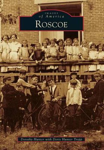 Cover image for Roscoe