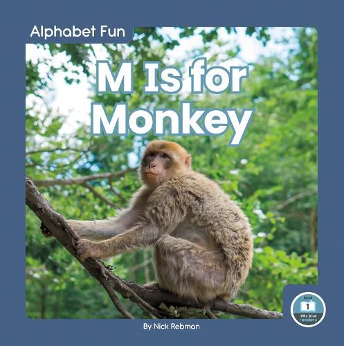 Cover image for Alphabet Fun: M is for Monkey