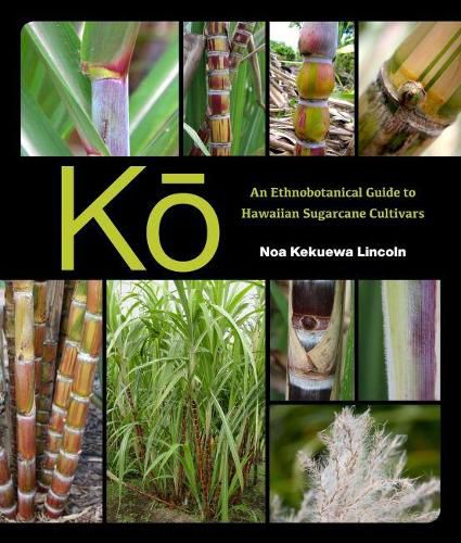 Cover image for Ko: An Ethnobotanical Guide to Hawaiian Sugarcane Cultivars