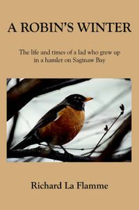 Cover image for A Robin's Winter: The Life and Times of a Lad Who Grew Up in a Hamlet on Saginaw Bay