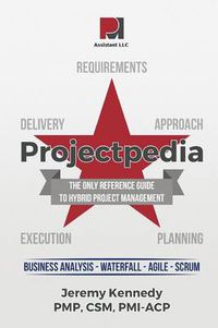 Cover image for Projectpedia