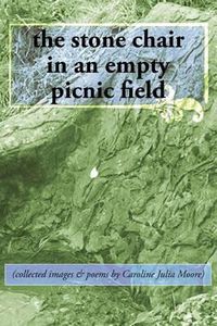 Cover image for The stone chair in an empty picnic field: (collected images & poems by Caroline Julia Moore)