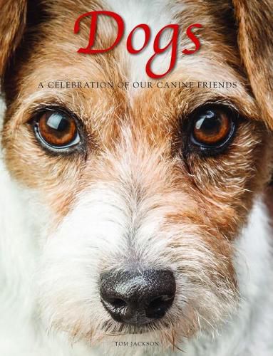 Cover image for Dogs: A Celebration of our Canine Friends