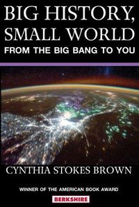 Cover image for Big History, Small World