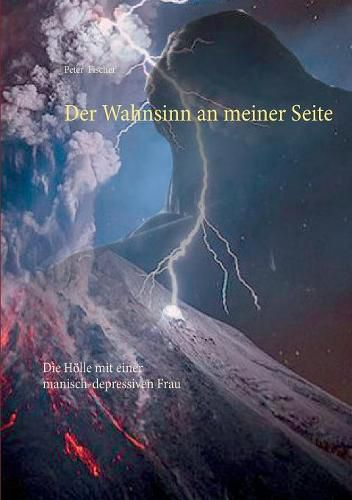 Cover image for Der Wahnsinn an meiner Seite: Die Hoelle mit einer manisch-depressiven Frau