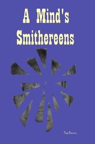 A Mind's Smithereens