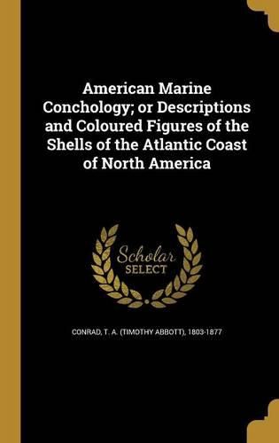 Cover image for American Marine Conchology; or Descriptions and Coloured Figures of the Shells of the Atlantic Coast of North America