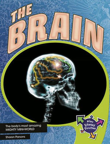 Cover image for The Brain