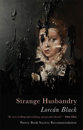 Cover image for Strange Husbandry