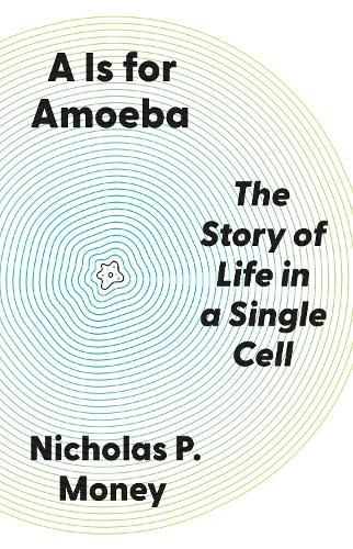 Cover image for A Is for Amoeba