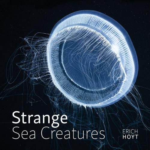 Cover image for Strange Sea Creatures