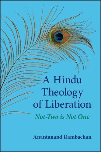 Cover image for A Hindu Theology of Liberation: Not-Two Is Not One