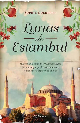 Cover image for Lunas de Estanbul