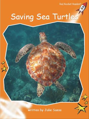 Cover image for Red Rocket Readers: Fluency Level 1 Non-Fiction Set C: Saving Sea Turtles