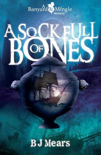 Cover image for A Sock Full of Bones