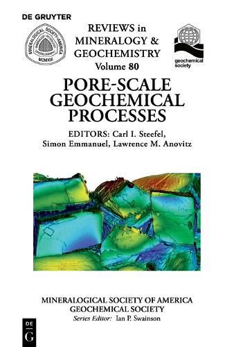 Cover image for Pore Scale Geochemical Processes