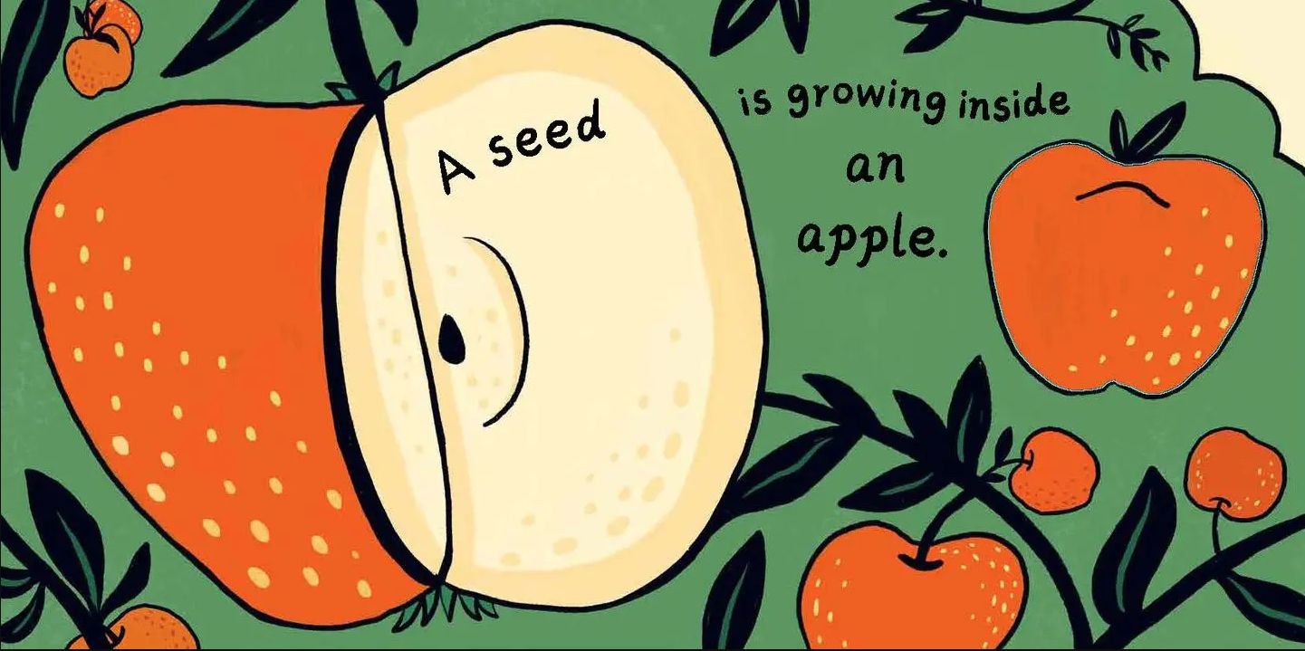 A Seed in the Universe