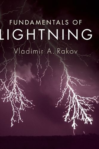 Cover image for Fundamentals of Lightning