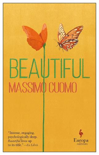 Cover image for Beautiful