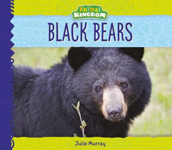 Cover image for Black Bears