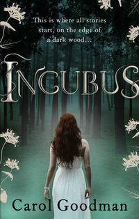 Cover image for Incubus