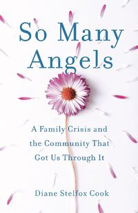Cover image for So Many Angels: A Family Crisis and the Community That Got Us Through It
