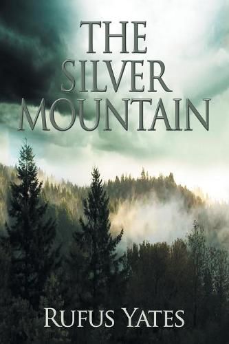 Cover image for The Silver Mountain