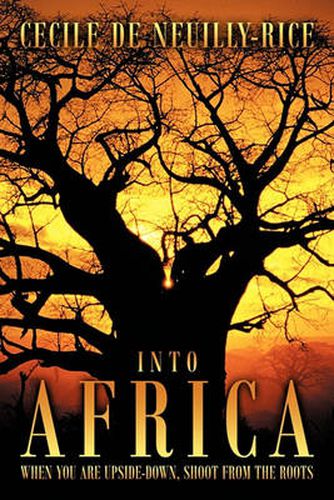 Cover image for Into Africa