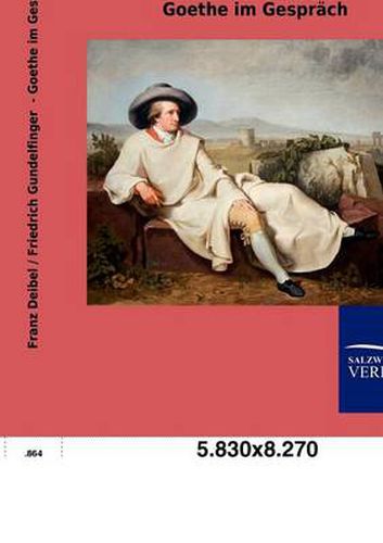 Cover image for Goethe im Gesprach