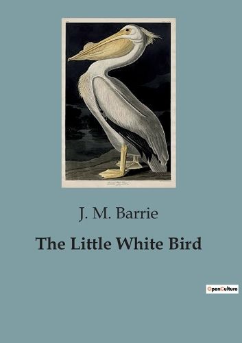 Cover image for The Little White Bird