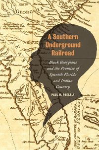 Cover image for A Southern Underground Railroad