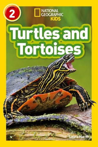 Cover image for Turtles and Tortoises: Level 2