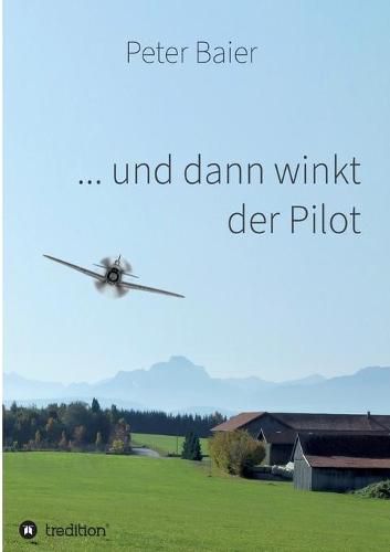 Cover image for ... und dann winkt der Pilot