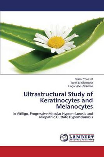 Cover image for Ultrastructural Study of Keratinocytes and Melanocytes