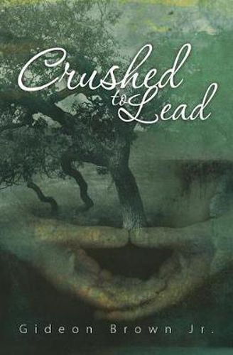 Cover image for Crushed To Lead