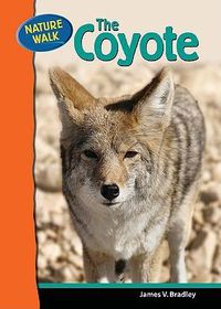 Cover image for The Coyote