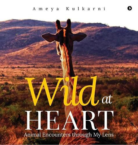 Cover image for Wild at Heart: Animal Encounters through My Lens