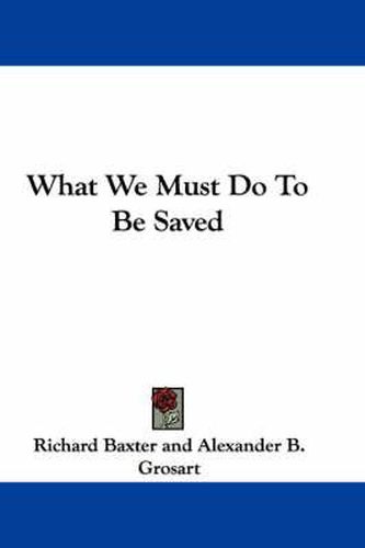 Cover image for What We Must Do to Be Saved