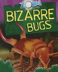 Cover image for Zoom in on Bizarre Bugs