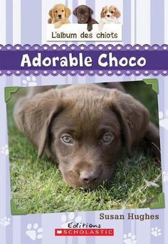 L' Album Des Chiots: N? 1 - Adorable Choco